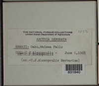 Image Associated With the Occurence
